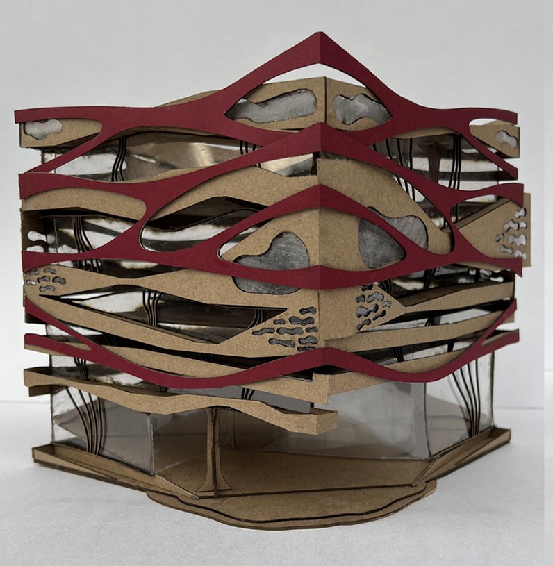Physical study model for Layered Spatial Systems